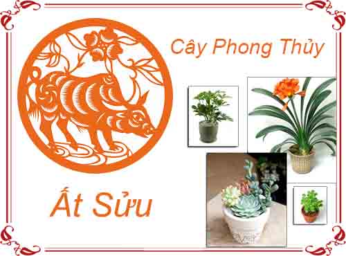 Tuổi Ất Sửu chọn cây gì hợp phong thủy