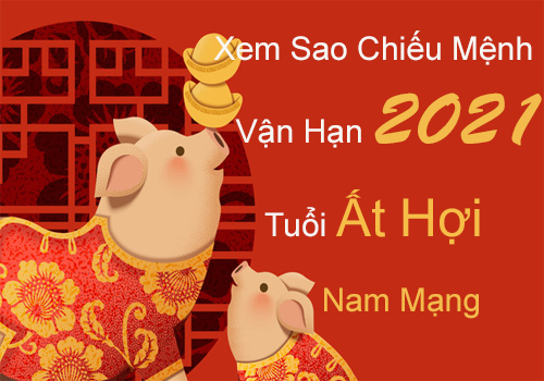 Xem sao chiếu mệnh vận hạn năm 2021 cho tuổi Ất Hợi 1995 nam mạng