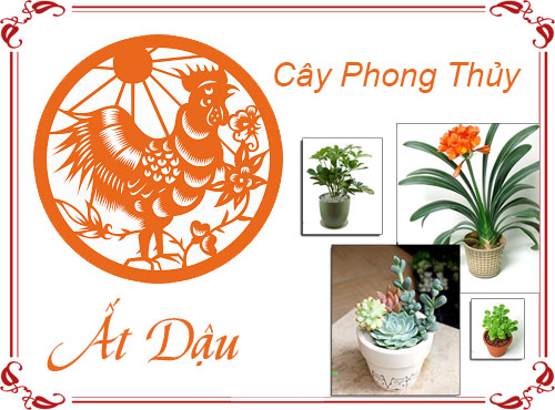 Tuổi Ất Dậu chọn cây gì hợp phong thủy