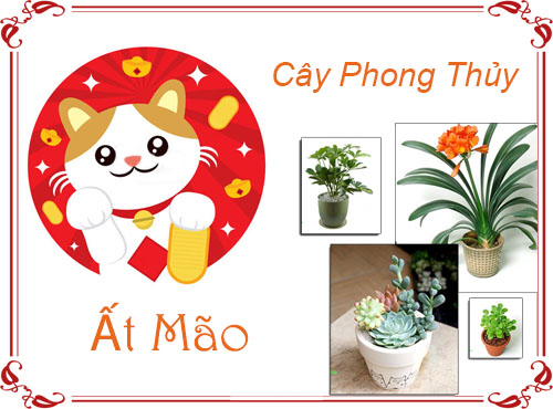 Tuổi Ất Mão chọn cây gì hợp phong thủy