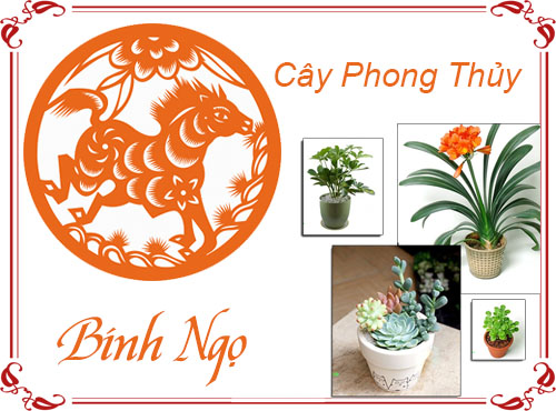 Tuổi Bính Ngọ chọn hướng giường nào hợp phong thủy