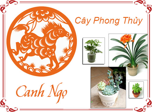 Tuổi Canh Ngọ chọn cây gì hợp phong thủy