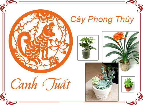 Tuổi Canh Tuất chọn cây gì hợp phong thủy