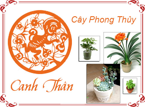 Tuổi Canh Thân chọn cây gì hợp phong thủy