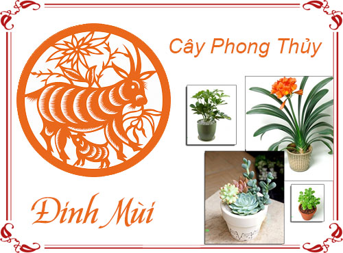 Tuổi Đinh Mùi chọn cây gì hợp phong thủy