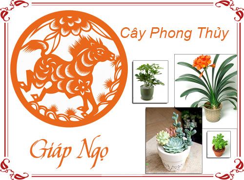 Tuổi Giáp Ngọ chọn cây gì hợp phong thủy