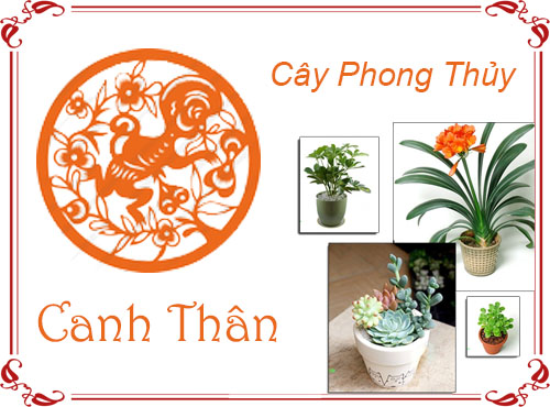 Tuổi Canh Thân chọn cây gì hợp phong thủy