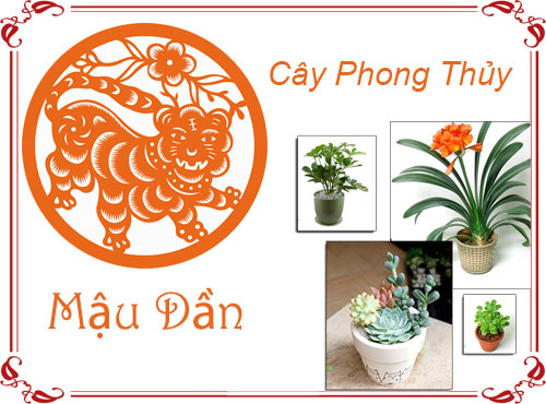 Tuổi Mậu Dần chọn cây gì hợp phong thủy