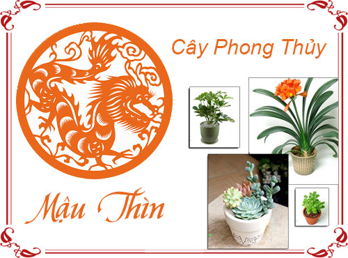 Tuổi Mậu Thìn chọn cây gì hợp phong thủy