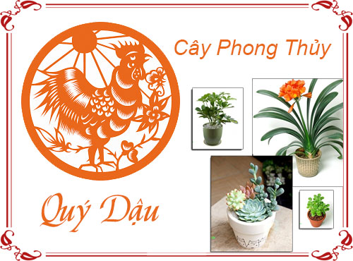 Tuổi Quý Dậu chọn cây gì hợp phong thủy