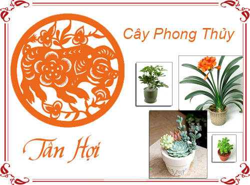 Tuổi Tân Hợi chọn cây gì hợp phong thủy