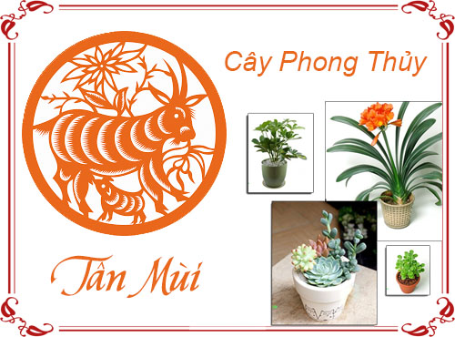 Tuổi Tân Mùi chọn cây gì hợp phong thủy