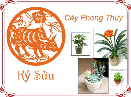 Tuổi Kỷ Sửu chọn cây gì hợp phong thủy