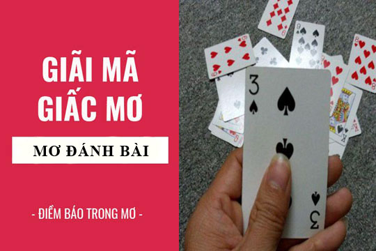 Giải mã giấc mơ: Nằm mơ thấy đánh bài, chơi bài điềm báo gì, lành hay dữ? con số liên quan