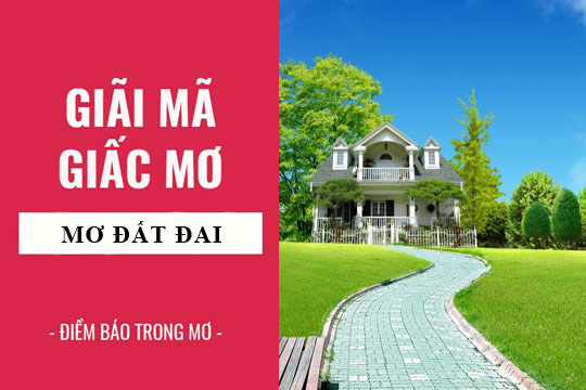 Giải mã giấc mơ: Nằm mơ thấy đất đai, mua bán đất điềm báo gì, lành hay dữ? con số liên quan