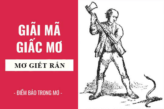 Giải mã giấc mơ: Nằm mơ thấy giết rắn, đánh chết rắn điềm báo gì, lành hay dữ? con số liên quan