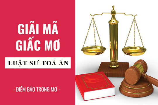 Giải mã giấc mơ: Nằm mơ thấy luật pháp, toà án, luật sư điềm báo gì, lành hay dữ? con số liên quan