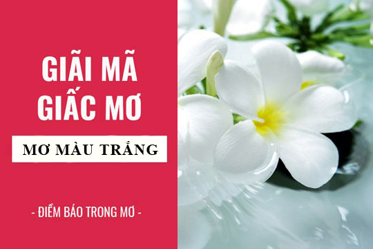 Giải mã giấc mơ: Nằm mơ thấy màu trắng, màu sắc điềm báo gì, lành hay dữ? con số liên quan