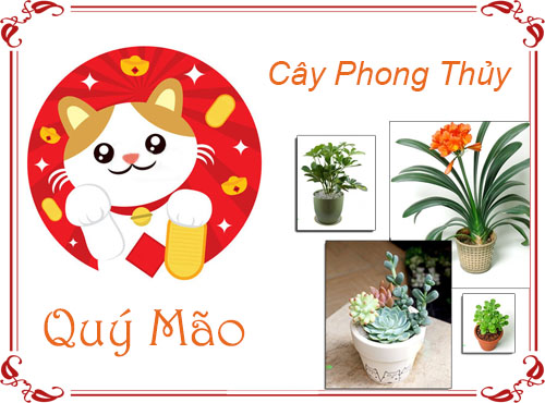 Tuổi Quý Mão chọn cây gì hợp phong thủy