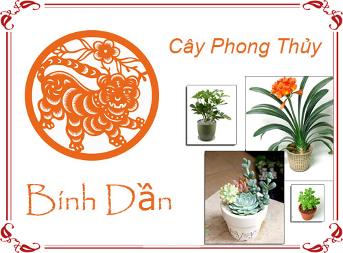 Tuổi Bính Dần chọn cây gì hợp phong thủy