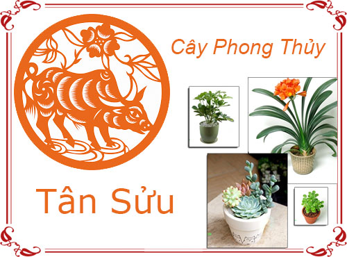 Tuổi Tân Sửu chọn cây gì hợp phong thủy